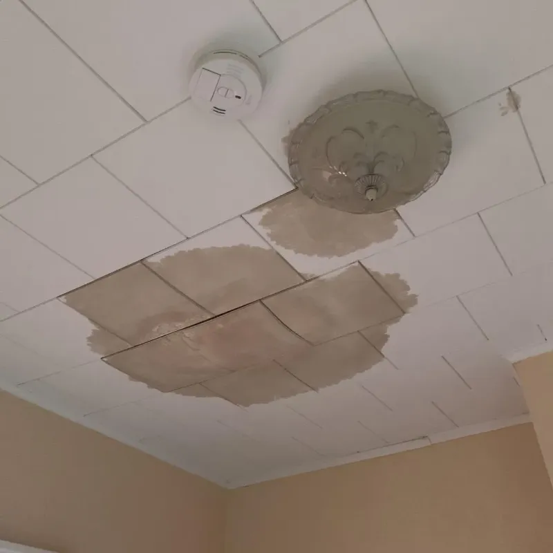 Ceiling Water Damage Repair in Nocona, TX