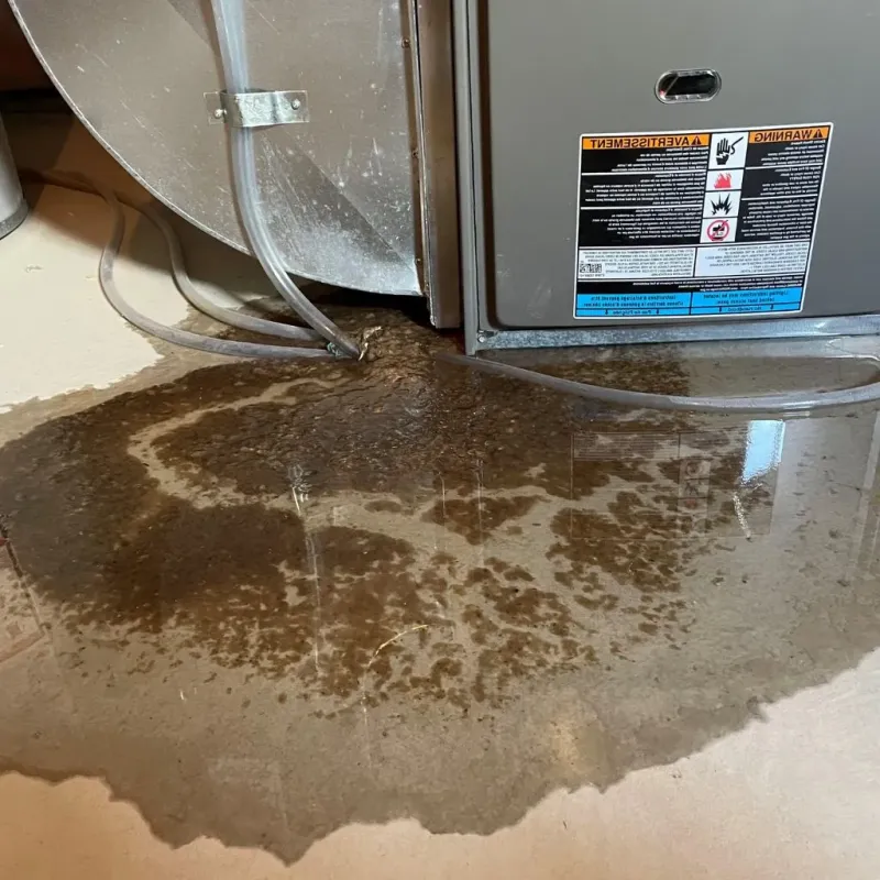 Pipe Burst and Leak Restoration in Nocona, TX