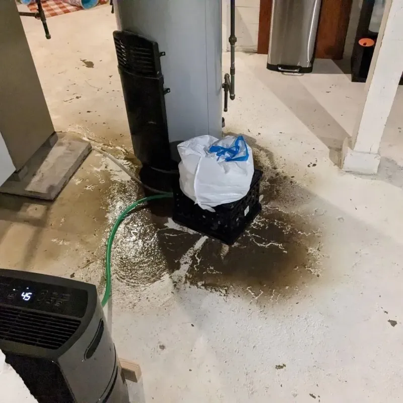 Sewage Backup Cleanup Service in Nocona, TX